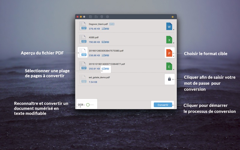 Screenshot #2 pour PDF Converter Pro