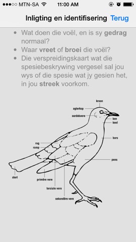 Sasol Algemene Voëls vir Beginners (Lite): Blitsfeite, foto's en video's van 46 Suider-Afrikaanse voëlsのおすすめ画像5