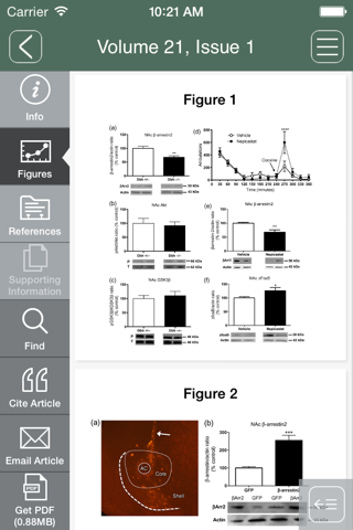 Addiction Biology screenshot 2