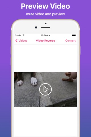Create Video Reverse screenshot 3