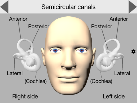 aVOR iPad screenshot 1 - Education app