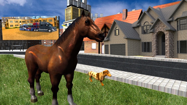 Crazy Horse Animal Transport - Deliver Horse & Dog In Transporter Truck