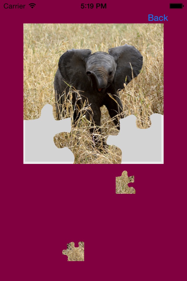 Safari Animals Jigsaw Puzzles screenshot 4