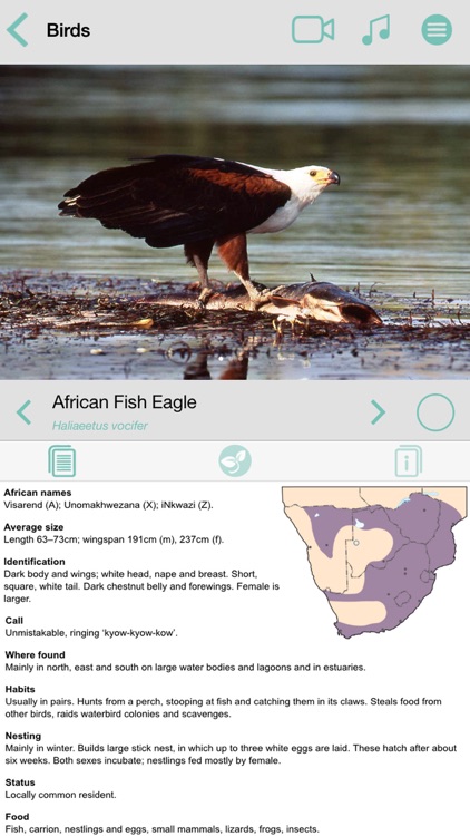 Sasol Common Birds for Beginners (Full): Quick facts, photos and videos of 46 common southern African birds