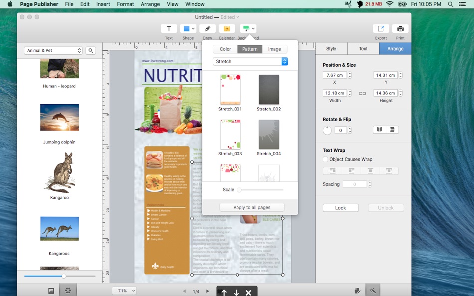 #3. Page Publisher - Graphic design and layout maker (macOS) 由: 虎龙 段