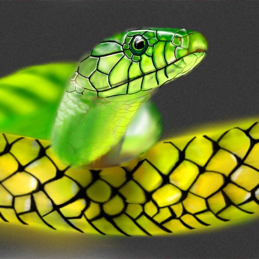 Snakes Encyclopedia Plus+ icon