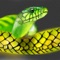 Snakes Encyclopedia Plus+