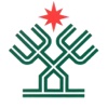顺德职业技术学院