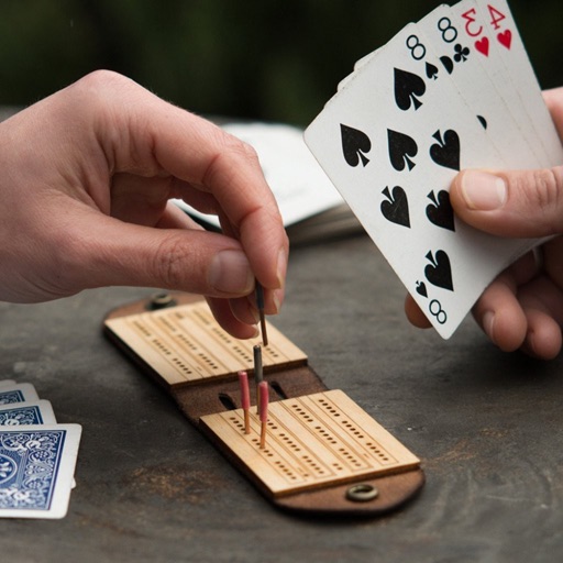 How to Play Cribbage: Strategy Tips and Tutorial icon