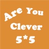 Are You Clever - 5X5 Puzzle Pro