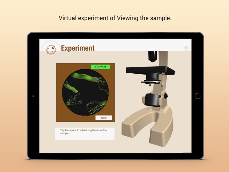 Compound Microscope screenshot-3