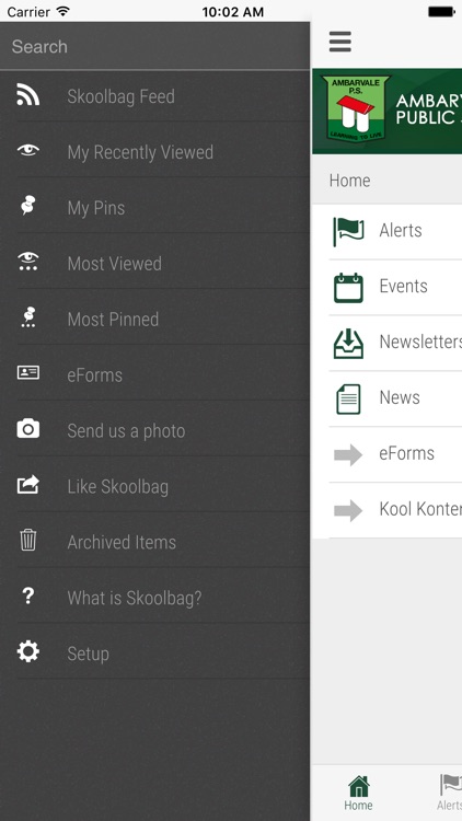 Ambarvale Public School