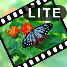 VIdeoStiller Lite -  Pull out special 
