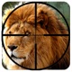 Wild Lion Hunter 2016 - Jungle King Hunting Simulation 3d : Full fun free game app icon - Games app for iPhone