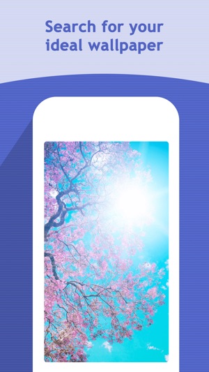 Seasons Wallpapers & Backgrounds - HD Themes(圖5)-速報App
