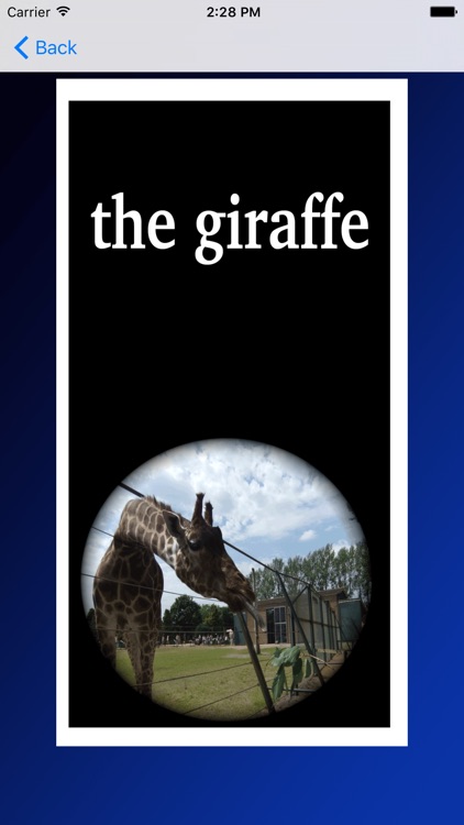 Learn Welsh Language App: Part 1 with Jingle Jeff