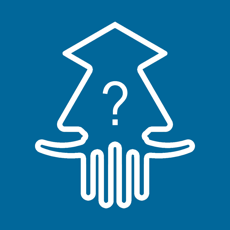 Activities of Squidword