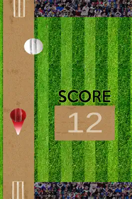 Game screenshot Bing Bong Cricket hack