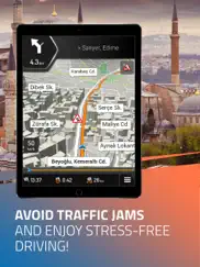 igo navigation айпад изображения 2
