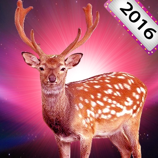 2016 New deer hunter 3D- sniper shooter in wild fantasy world 2016 New deer hunter 3D- sniper shooter in wild fantasy world