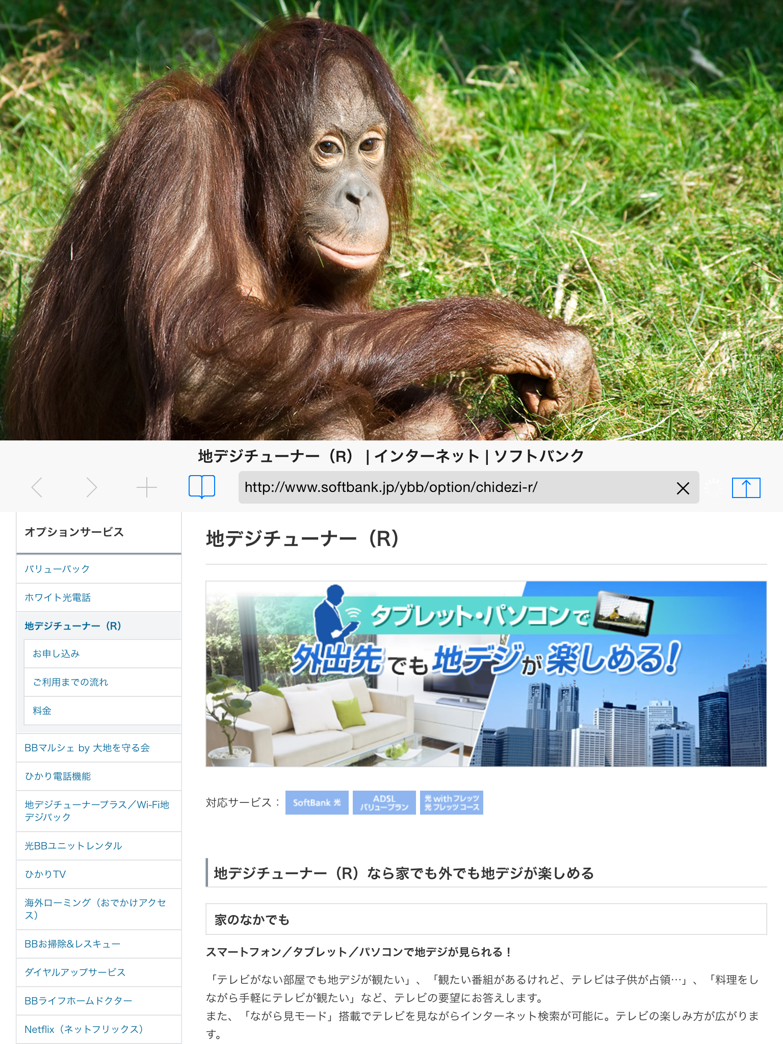 地デジViewer （R） screenshot 10