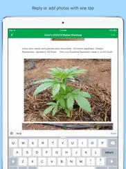 oz stoners cannabis community iPad Captures Décran 3