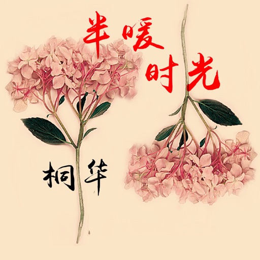 半暖时光：华丽呈现，桐华作品全集 icon