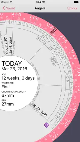 Game screenshot Pregnancy Wheel mod apk