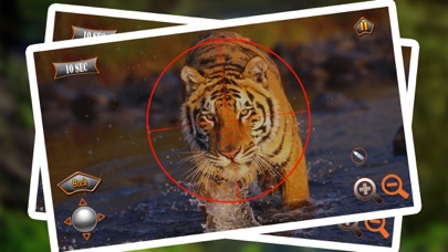 Jungle Animal Hunter Strike screenshot 2