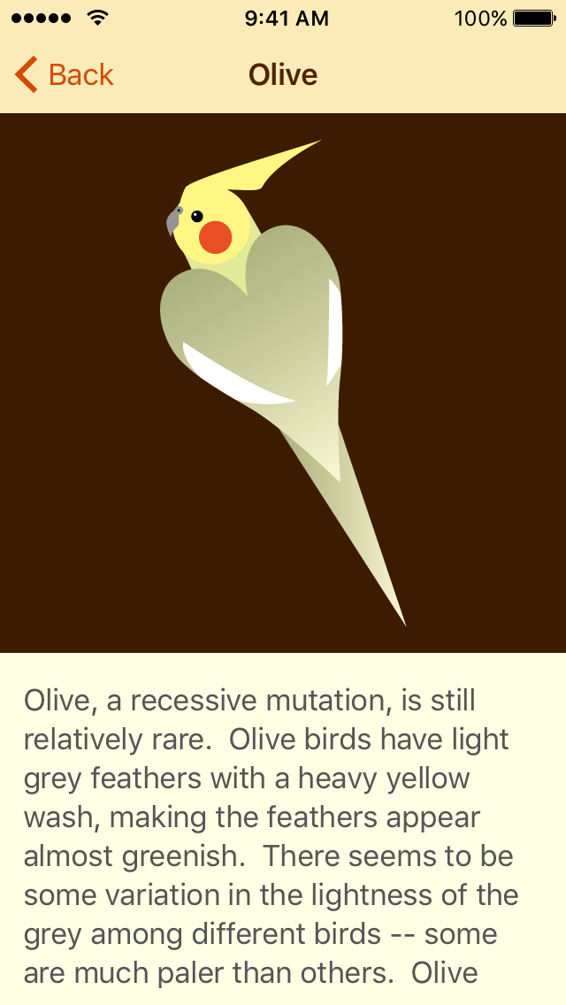 Cockatiel Color Palette