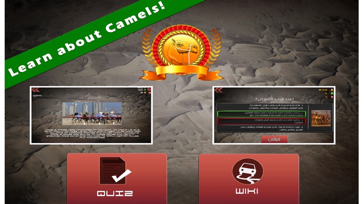 3D سباق الهجن - UAE Camel Racing