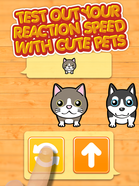 Screenshot #5 pour Neko & Doggie Dojo - My Dear Mini Smart Pets Choice Games