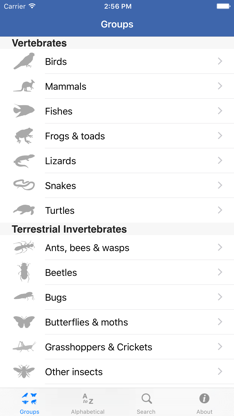 Field Guide to NSW Fauna screenshot 2
