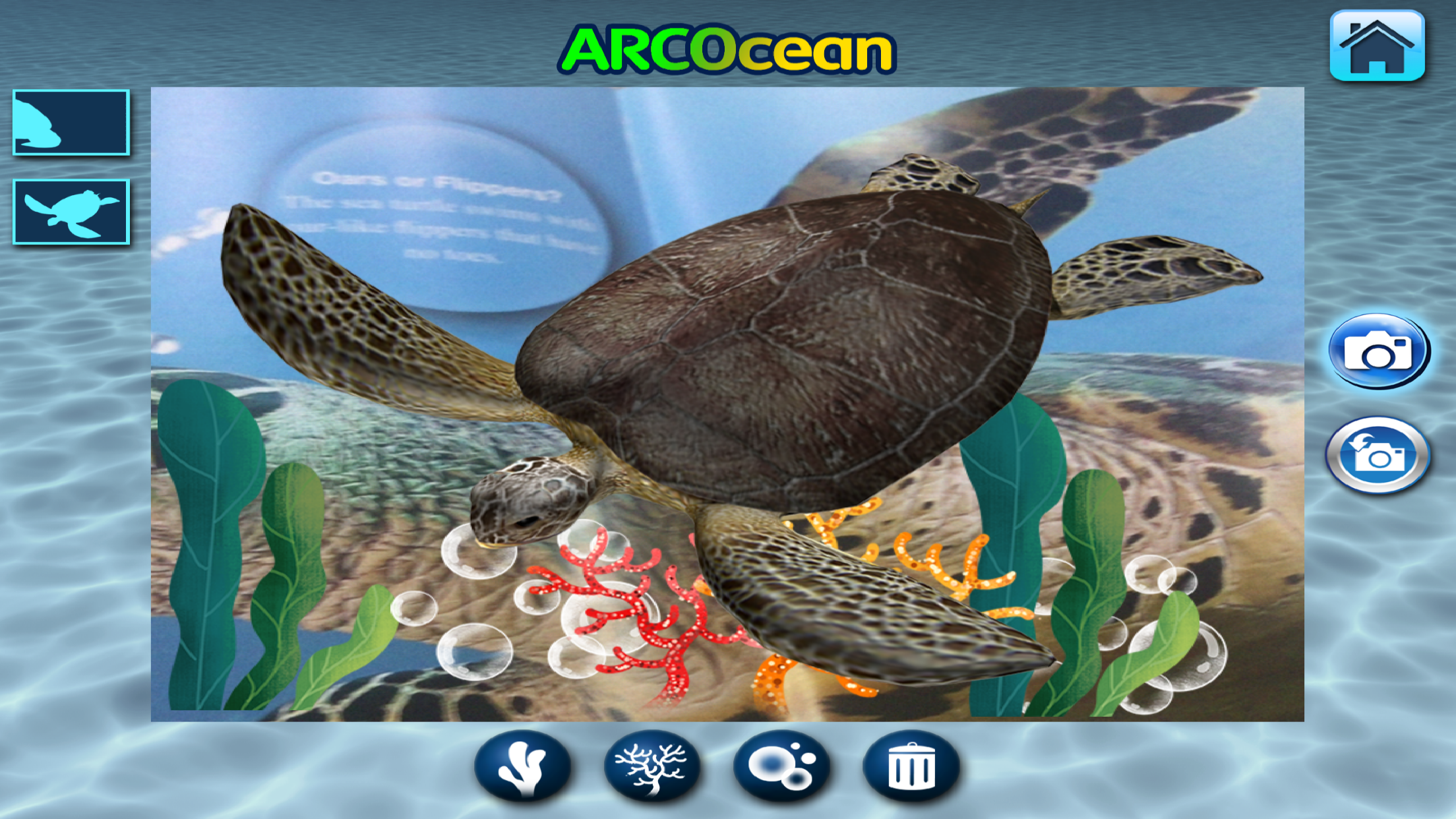 ARCOCEAN - ARC OCEAN screenshot 5