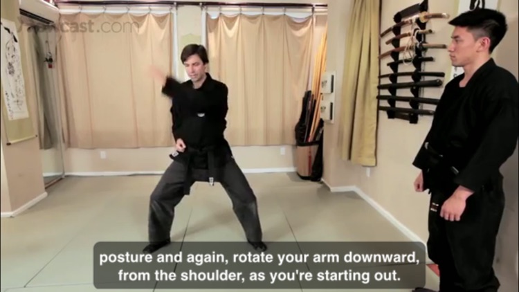 Ninjutsu Skills