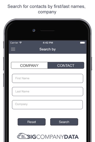Big Company Data screenshot 2