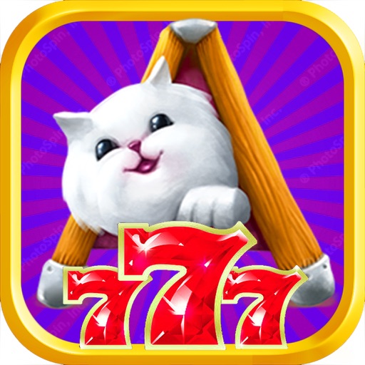 SuperCute Cat : Slots Casino & Easy Play Games Free iOS App