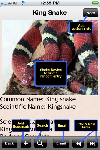 Snakes Encyclopedia Plus+ screenshot 3