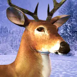 Deer Hunting Ice Age app icon