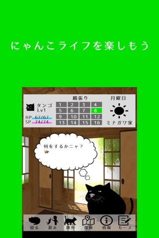 にゃんこライフ！ screenshot 4
