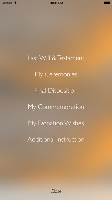My Final Wishes Screenshot