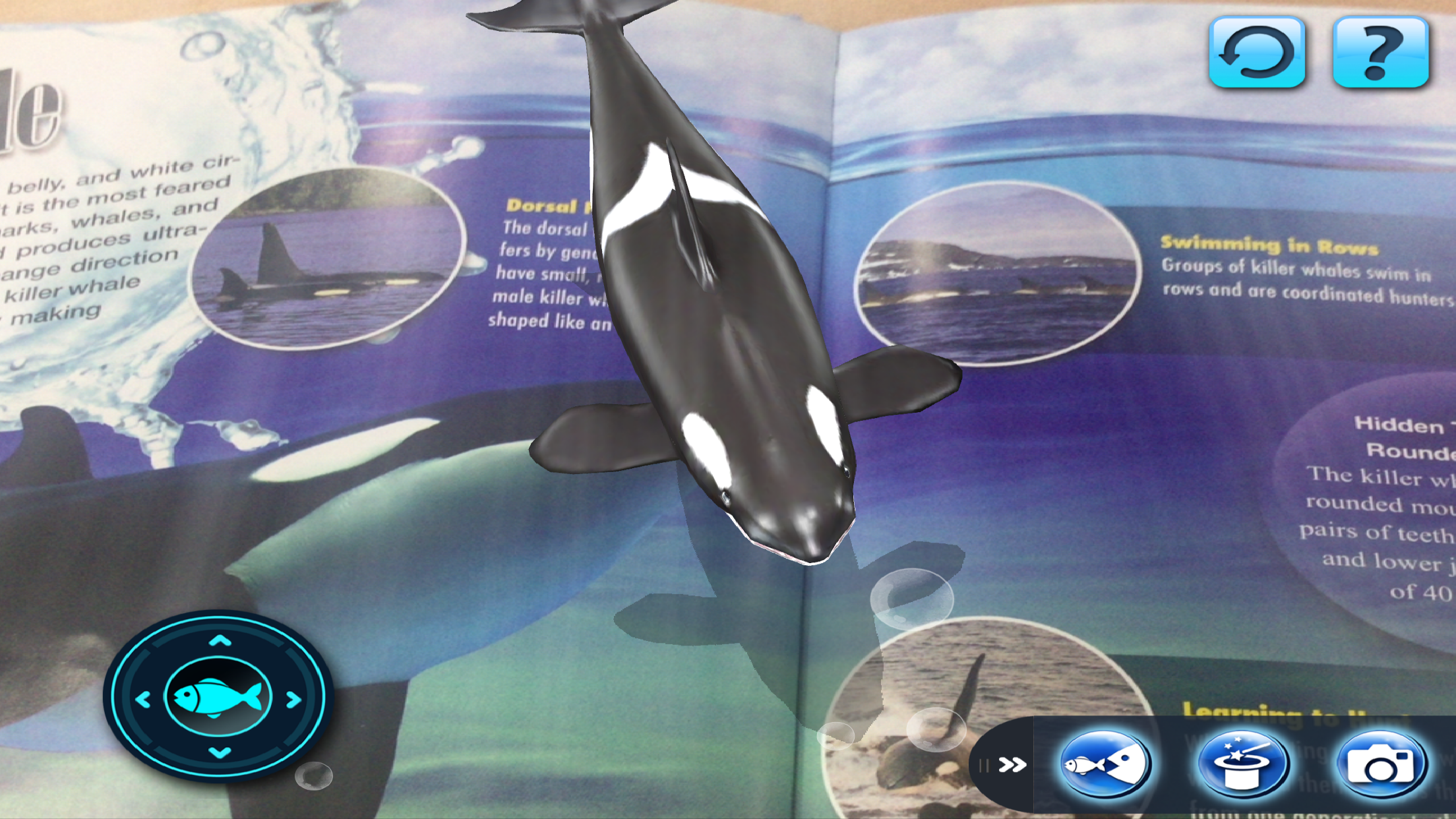 ARCOCEAN - ARC OCEAN screenshot 2