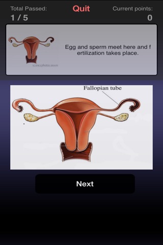 Pregnancy Choices screenshot 4