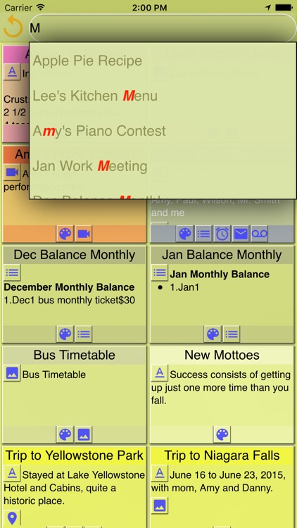 Note Anytime Pro