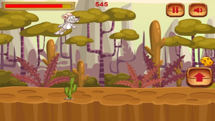 Little Rat Adventure