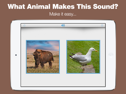 Peekaboo Sounds - Toddler Game iPad screenshot 2 - Education app