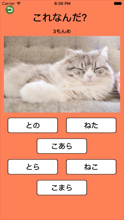 わかるかな？よめるかな？ひらがなクイズ！ screenshot-4