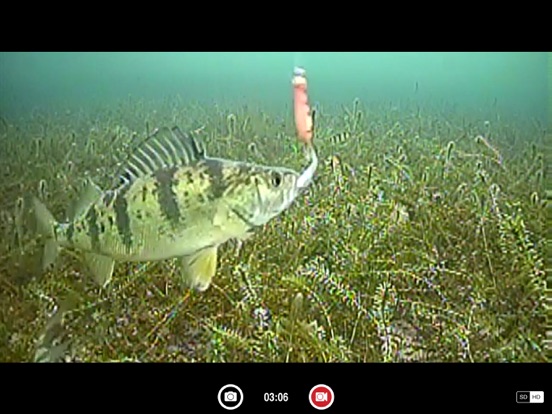 Screenshot #4 pour FishSens SondeCAM