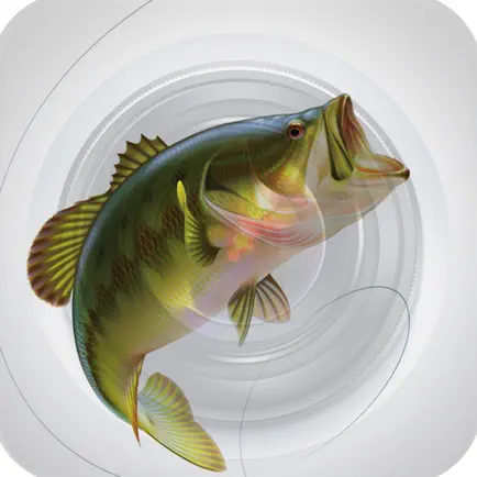 Eye2Fish Читы