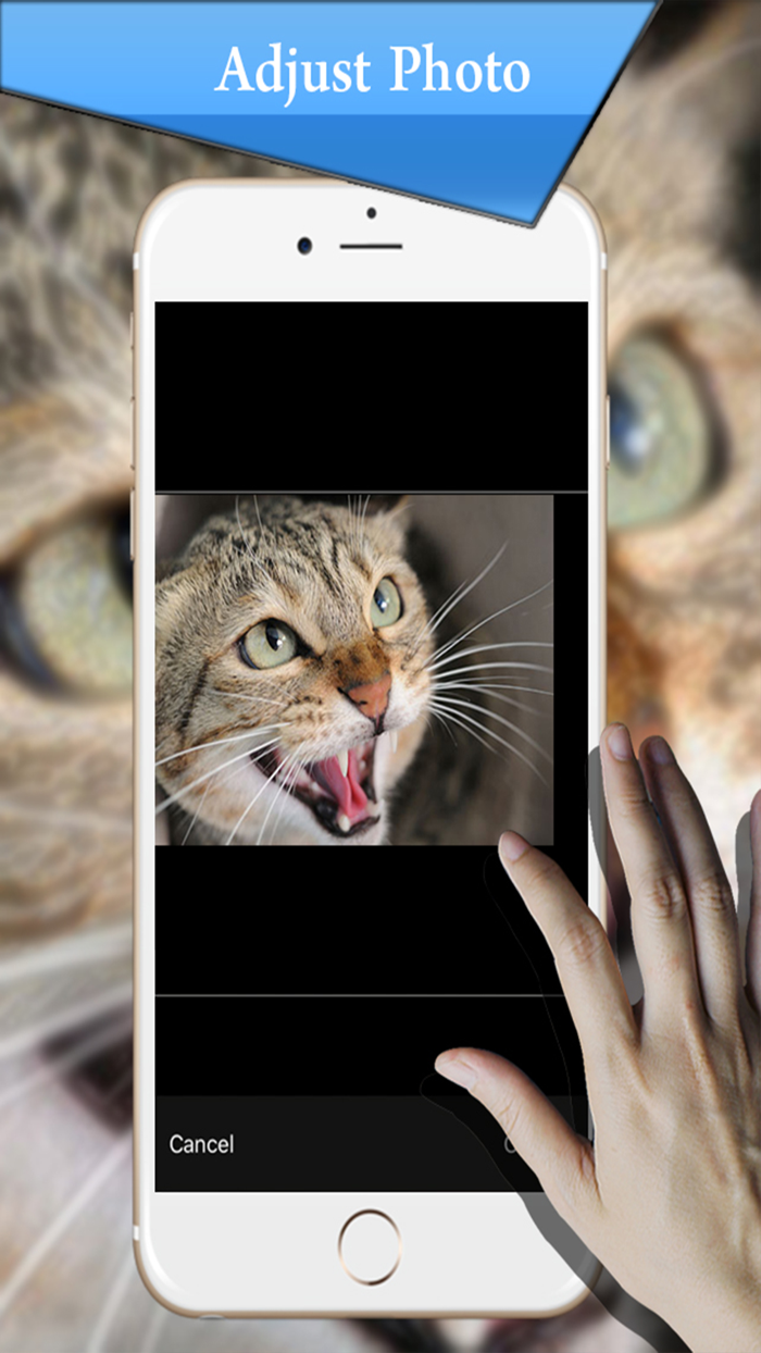 Typography Generator - Text Writer Editor to Photo and Instant Creative Caption for Photo